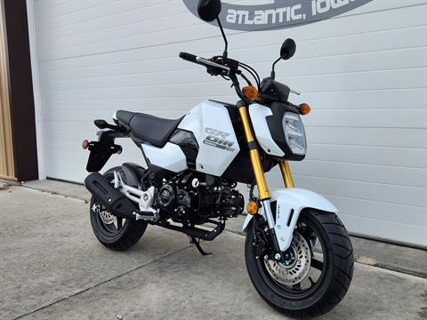 2025 Honda Grom in Atlantic, Iowa - Photo 2