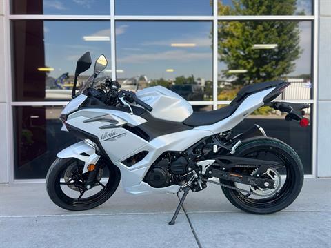 2024 Kawasaki Ninja 500 ABS in Billings, Montana - Photo 1