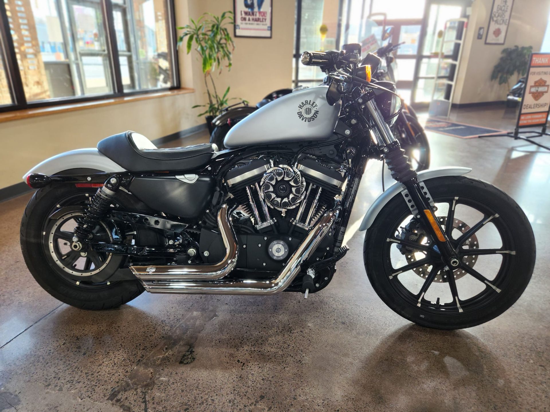 2019 Harley-Davidson Iron 883™ in Erie, Pennsylvania - Photo 1