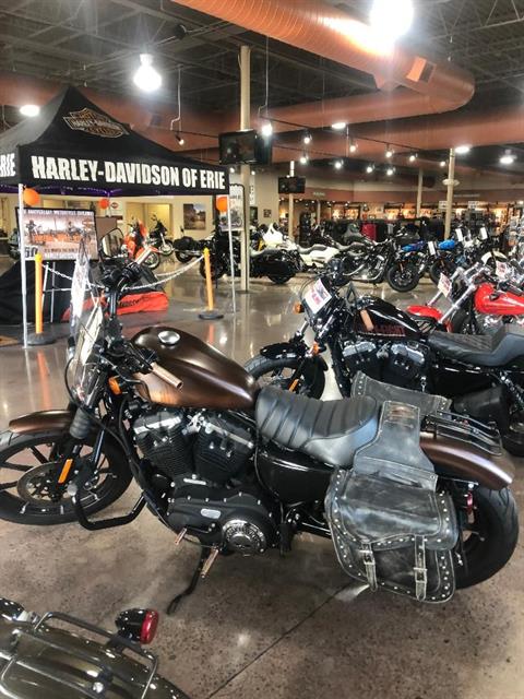 2019 Harley-Davidson Iron 883™ in Erie, Pennsylvania - Photo 3