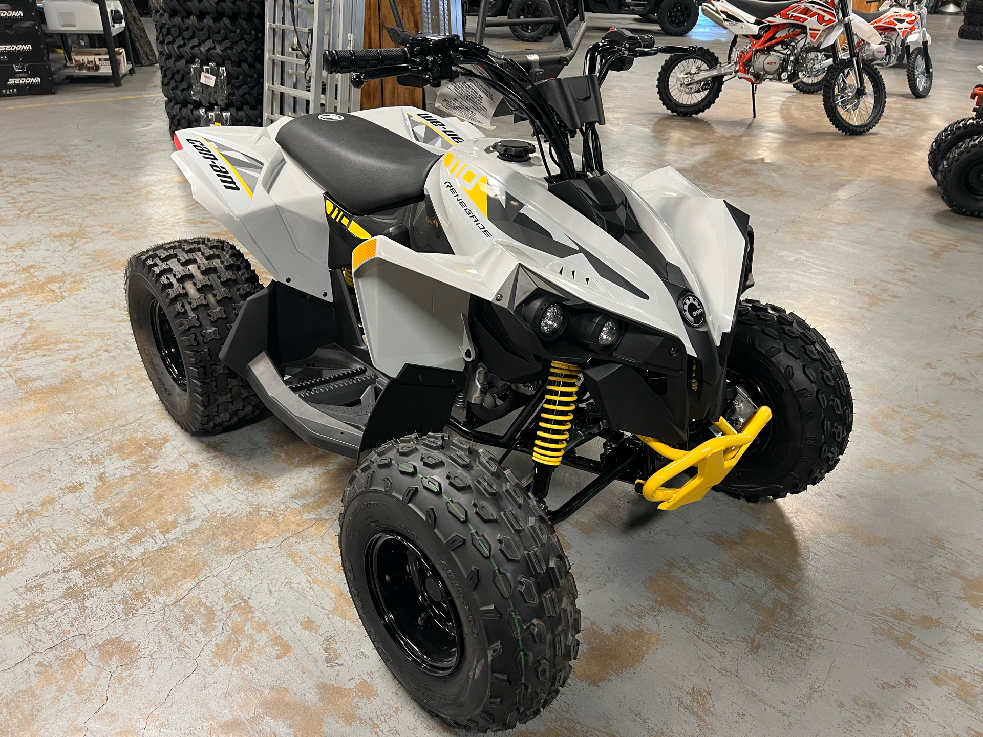 2024 Can-Am Renegade 110 EFI in Brenham, Texas - Photo 1