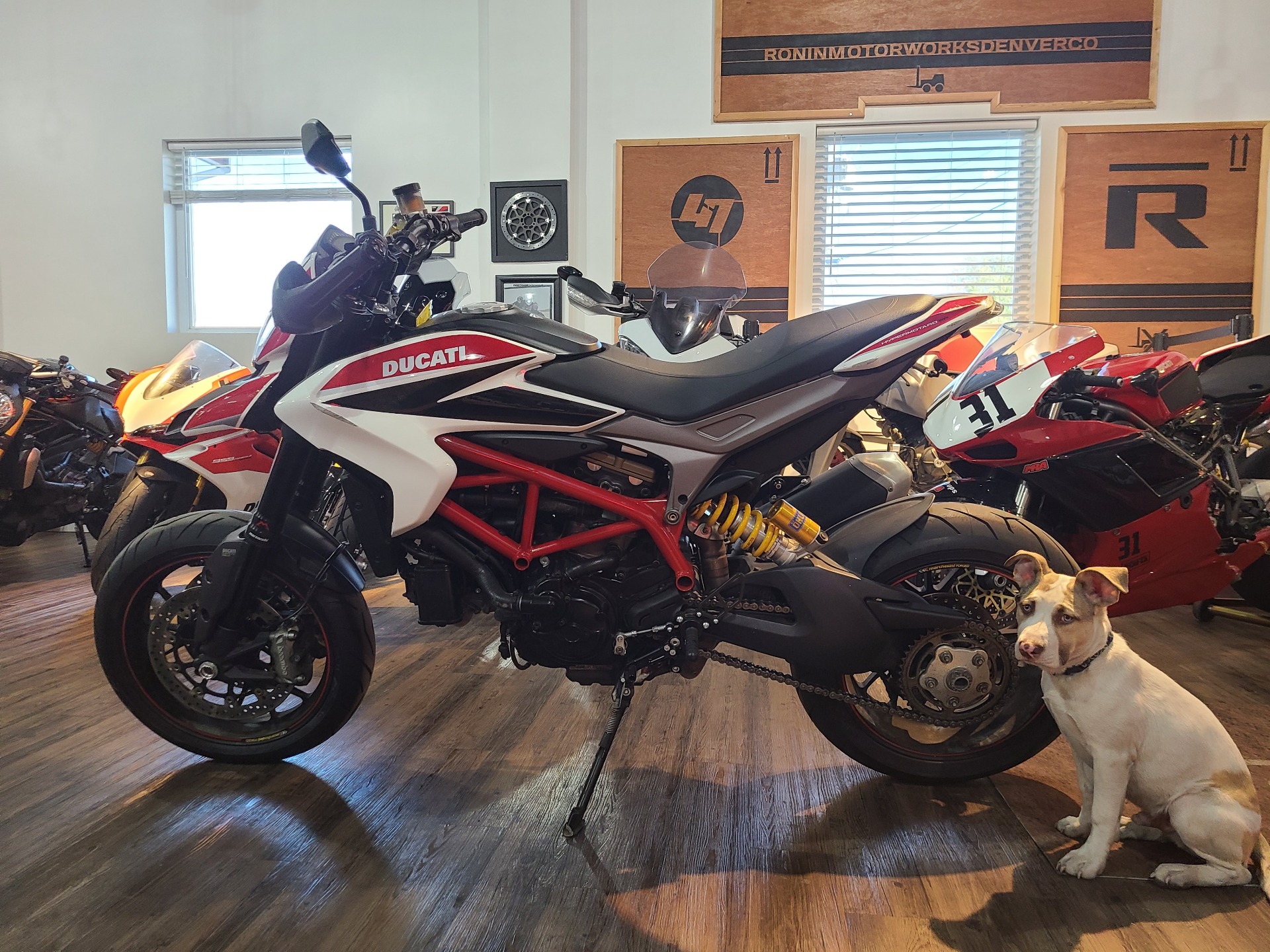2014 Ducati Hypermotard SP in Denver, Colorado - Photo 1