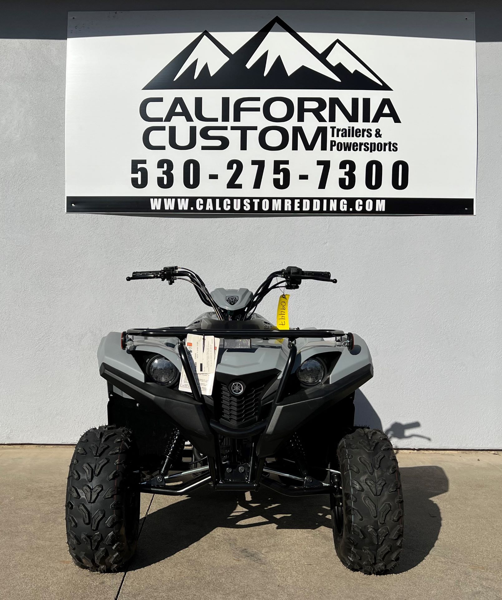 2021 Yamaha Grizzly 90 in Redding, California - Photo 1