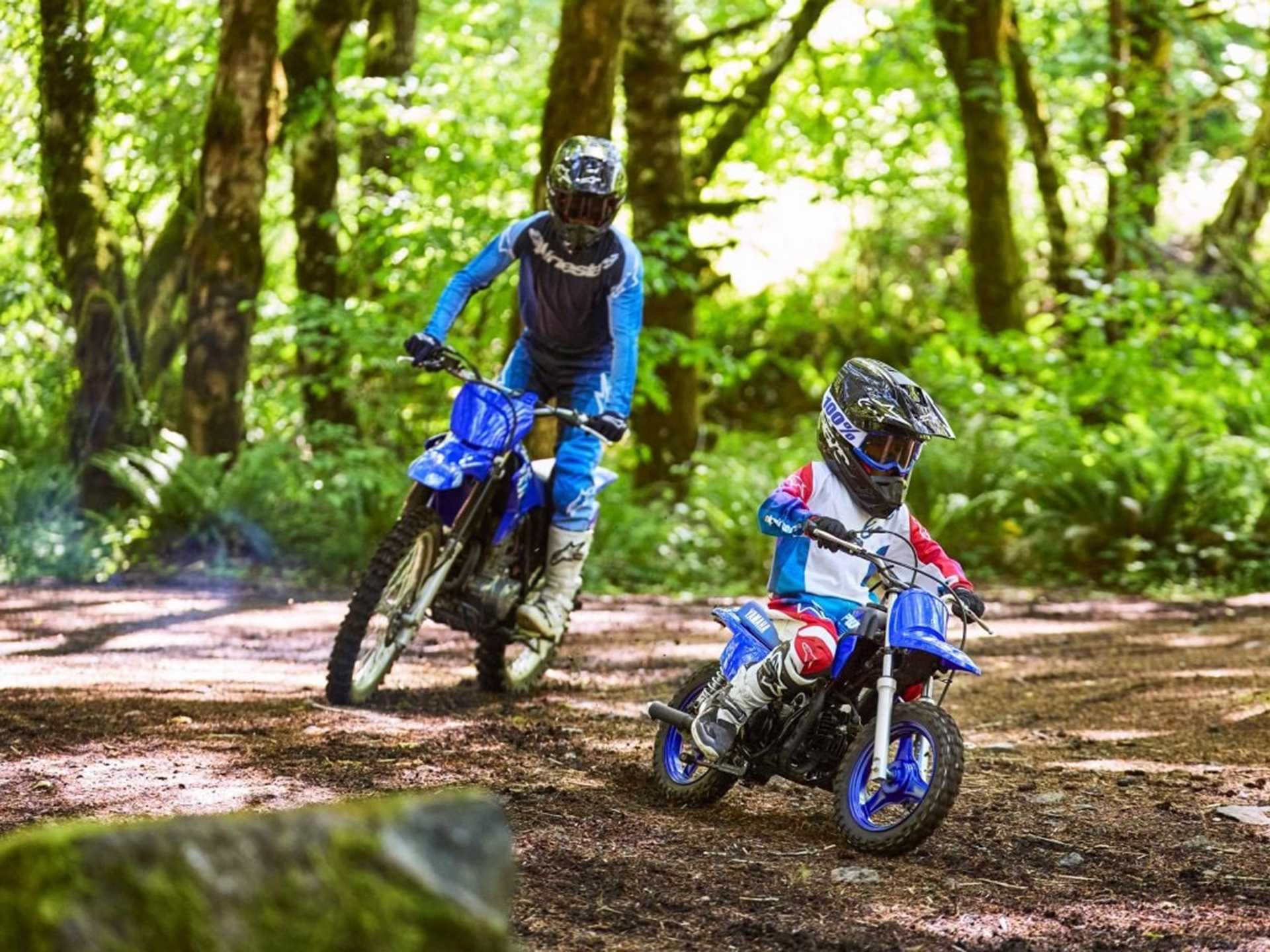 2025 Yamaha PW50 in Redding, California - Photo 11