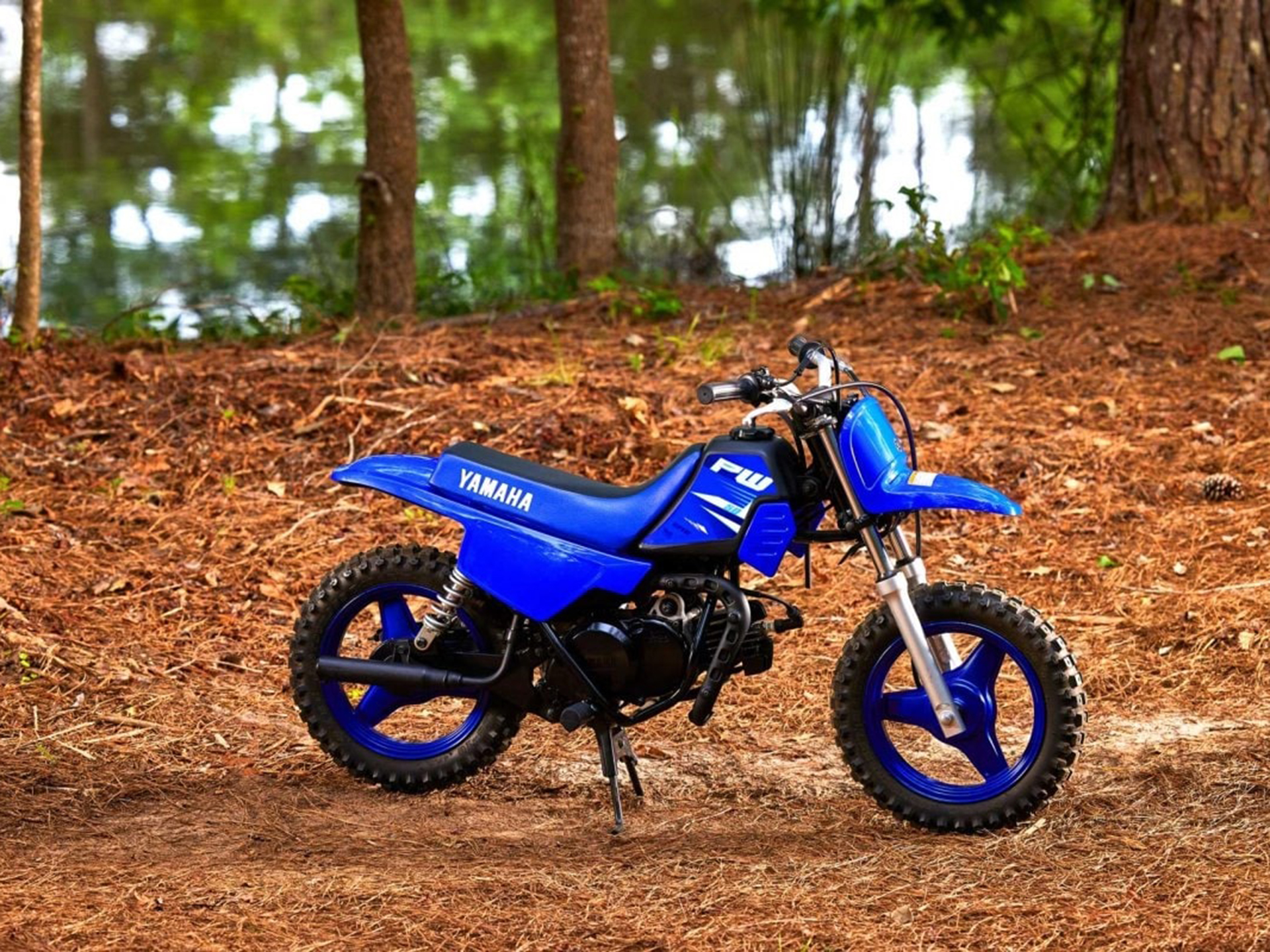 2025 Yamaha PW50 in Redding, California - Photo 12