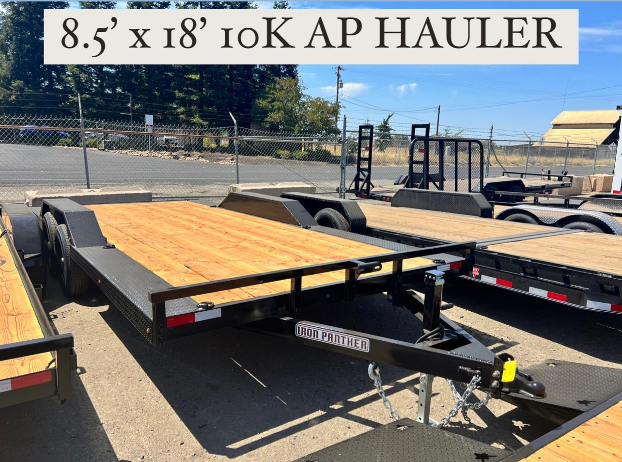 2023 Iron Panther 8.5' x 18' 10K AP Hauler in Acampo, California