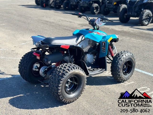 2024 Can-Am Renegade 110 EFI in Merced, California - Photo 3