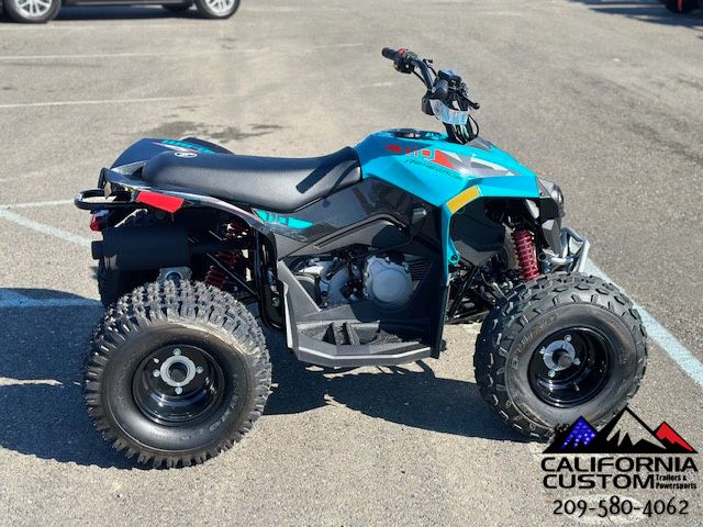 2024 Can-Am Renegade 110 EFI in Merced, California - Photo 4