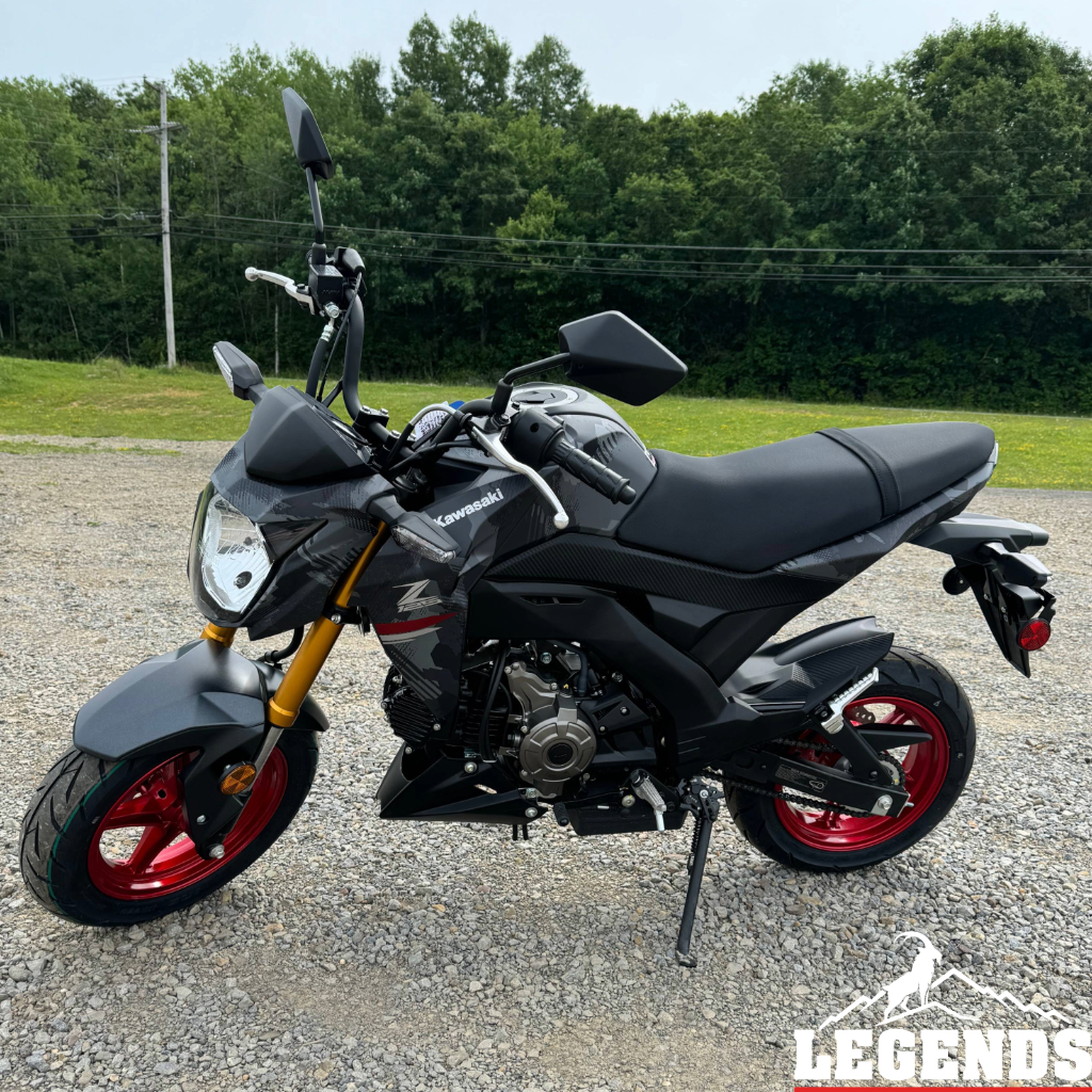 2024 Kawasaki Z125 Pro in Seneca, Pennsylvania - Photo 2