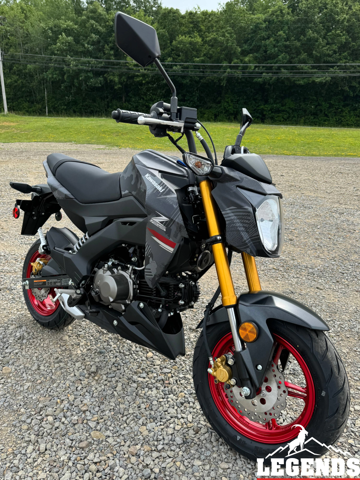 2024 Kawasaki Z125 Pro in Seneca, Pennsylvania - Photo 4