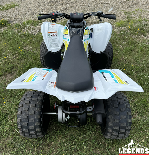 2023 Yamaha Raptor 90 in Seneca, Pennsylvania - Photo 6