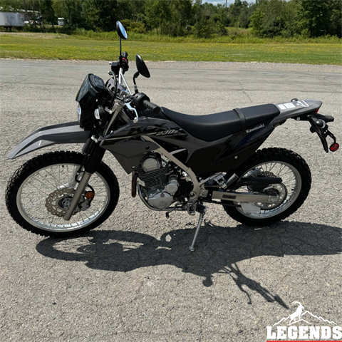 2023 Kawasaki KLX 230 S in Seneca, Pennsylvania - Photo 2