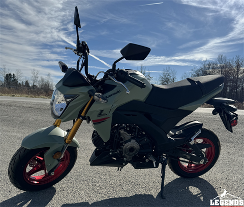 2023 Kawasaki Z125 Pro in Seneca, Pennsylvania - Photo 1