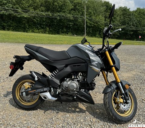 2024 Kawasaki Z125 Pro in Seneca, Pennsylvania - Photo 4