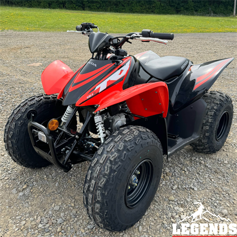 2024 Honda TRX90X in Seneca, Pennsylvania - Photo 1