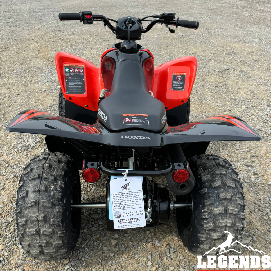 2024 Honda TRX90X in Seneca, Pennsylvania - Photo 6