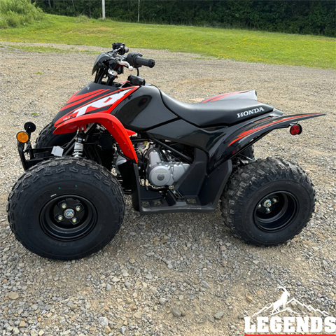 2024 Honda TRX90X in Seneca, Pennsylvania - Photo 2