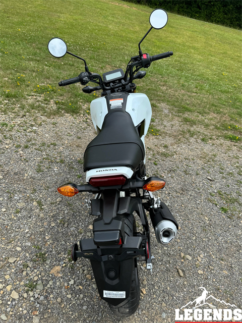 2025 Honda Grom ABS in Seneca, Pennsylvania - Photo 6