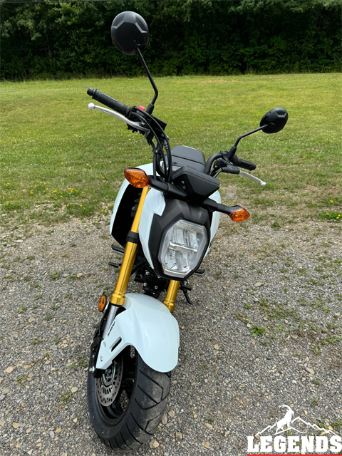 2025 Honda Grom ABS in Seneca, Pennsylvania - Photo 5