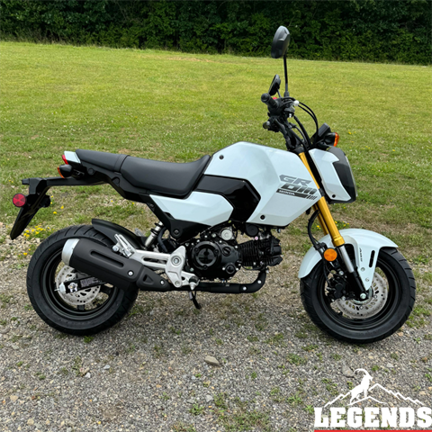 2025 Honda Grom ABS in Seneca, Pennsylvania - Photo 3