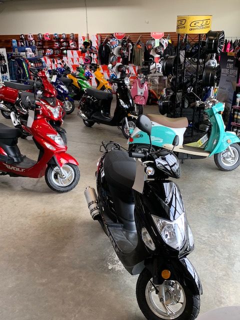 2023 Wolf Brand Scooters Wolf Lucky II in Hinesville, Georgia - Photo 1