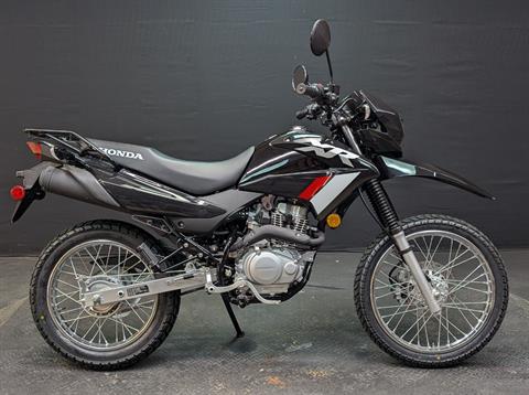 2023 Honda XR150L in Manitowoc, Wisconsin - Photo 1