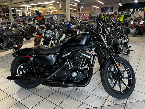 2022 Harley-Davidson Iron 883™ in Hialeah, Florida - Photo 1