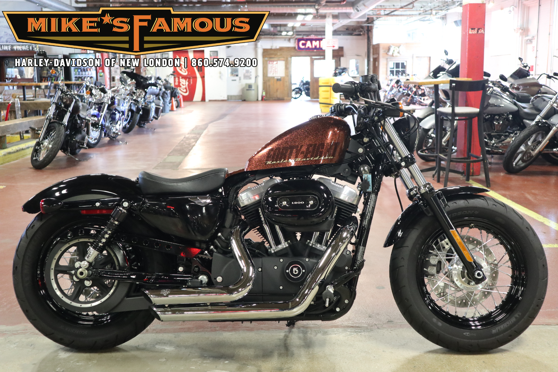2014 Harley-Davidson Sportster® Forty-Eight® in New London, Connecticut - Photo 1