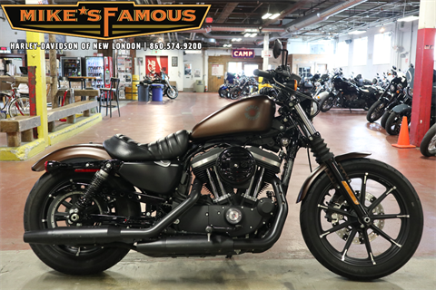 2019 Harley-Davidson Iron 883™ in New London, Connecticut - Photo 1