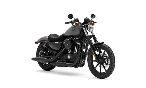 2022 Harley-Davidson Iron 883N in New London, Connecticut - Photo 2