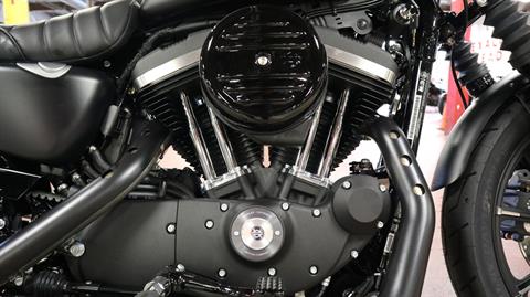 2022 Harley-Davidson Iron 883™ in New London, Connecticut - Photo 12