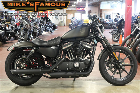 2021 Harley-Davidson Iron 883™ in New London, Connecticut - Photo 1