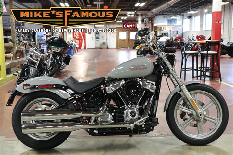 2024 Harley-Davidson FXST in New London, Connecticut - Photo 1