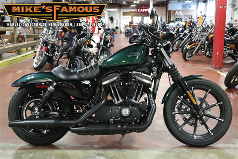 2021 Harley-Davidson Iron 883™ in New London, Connecticut - Photo 1