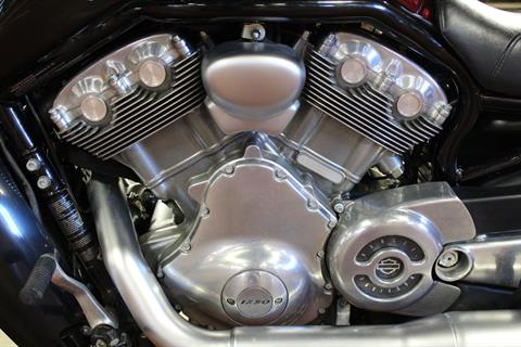 2015 Harley-Davidson V-Rod Muscle® in New London, Connecticut - Photo 19