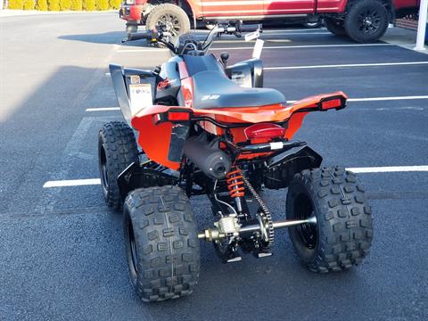 2024 Can-Am DS 250 in Grantville, Pennsylvania - Photo 2