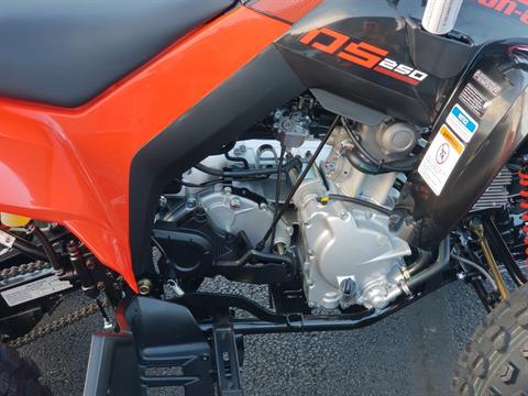 2024 Can-Am DS 250 in Grantville, Pennsylvania - Photo 7