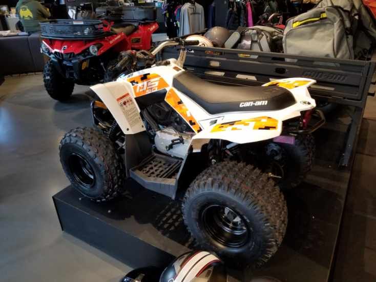 2022 Can-Am DS 90 in Grantville, Pennsylvania - Photo 6