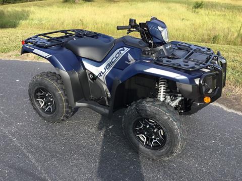 2024 Honda FourTrax Foreman Rubicon 4x4 Automatic DCT EPS Deluxe in Hudson, Florida - Photo 4