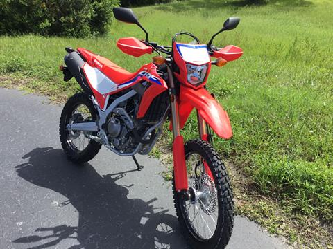 2023 Honda CRF300L in Hudson, Florida - Photo 2