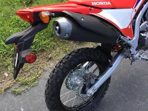 2023 Honda CRF300L in Hudson, Florida - Photo 17