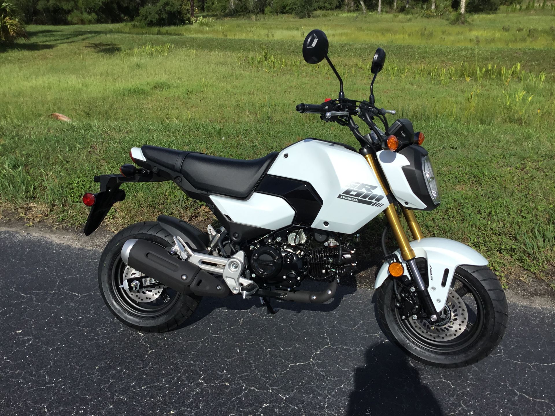 2025 Honda Grom ABS in Hudson, Florida - Photo 4