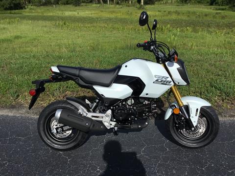 2025 Honda Grom ABS in Hudson, Florida - Photo 5