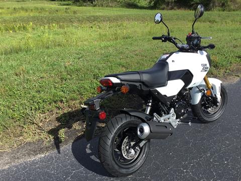 2025 Honda Grom ABS in Hudson, Florida - Photo 7