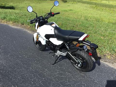2025 Honda Grom ABS in Hudson, Florida - Photo 14