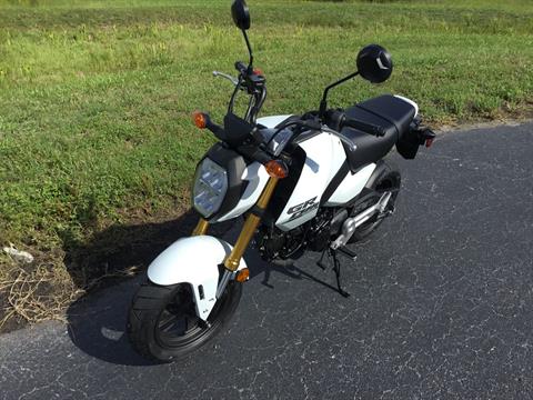 2025 Honda Grom ABS in Hudson, Florida - Photo 18
