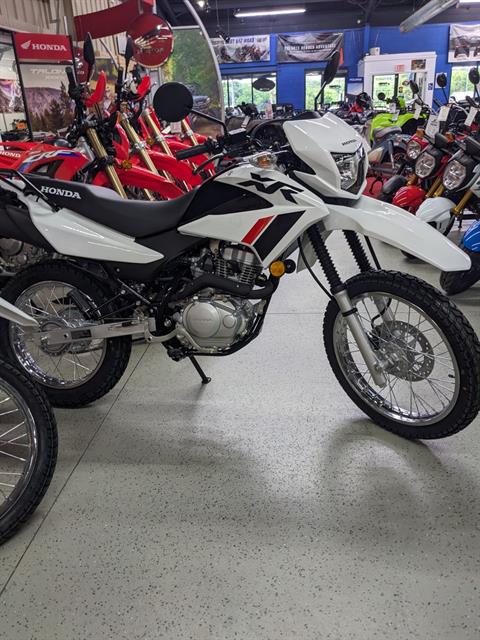 2024 Honda XR150L in Hermitage, Pennsylvania - Photo 1