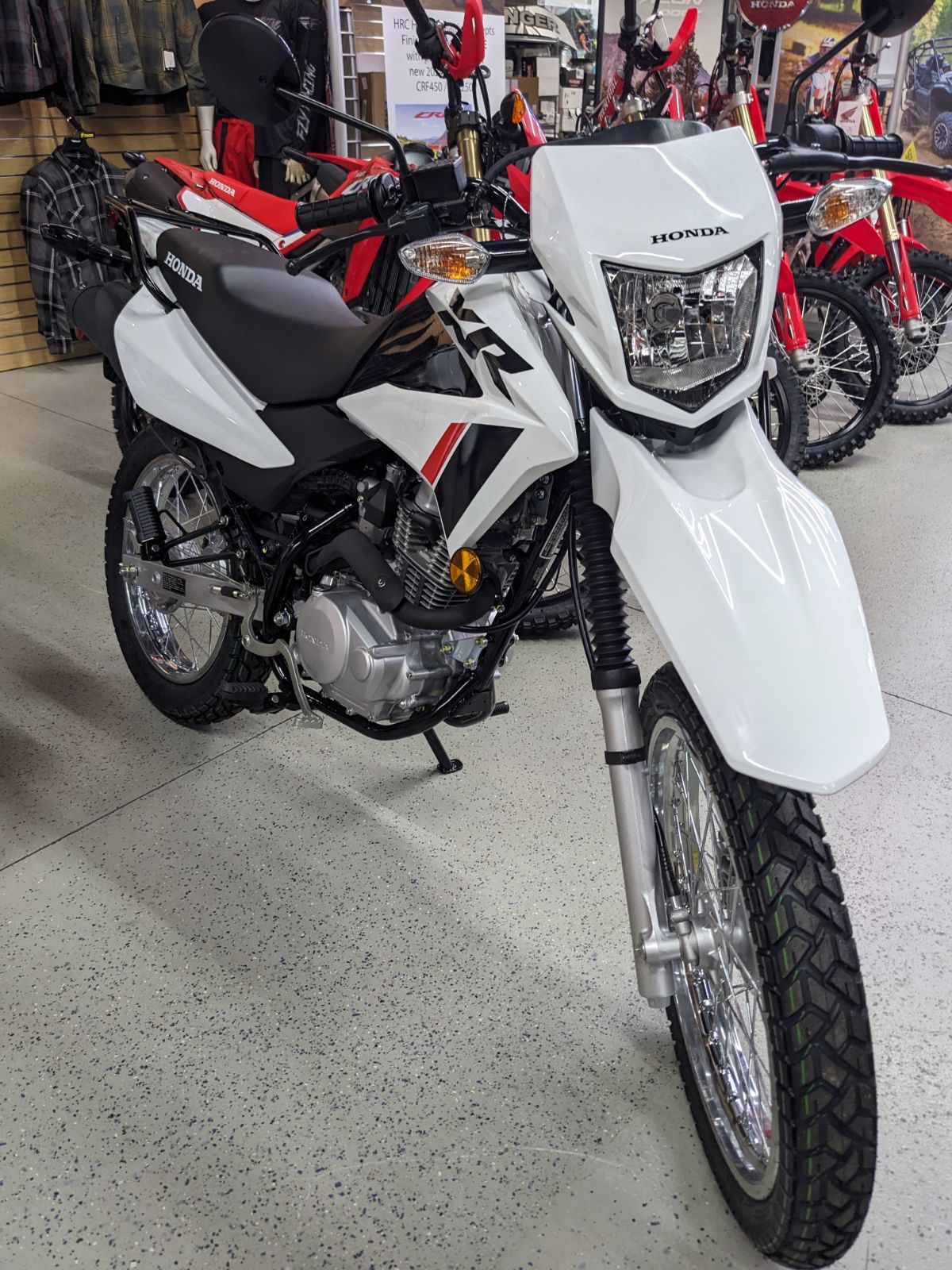 2024 Honda XR150L in Hermitage, Pennsylvania - Photo 3