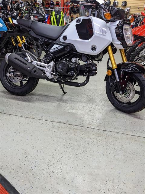 2024 Honda Grom in Hermitage, Pennsylvania - Photo 1