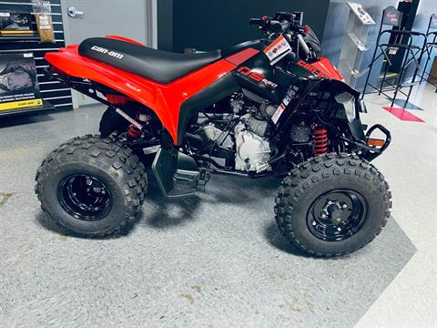 2022 Can-Am DS 250 in Wilmington, Illinois - Photo 1
